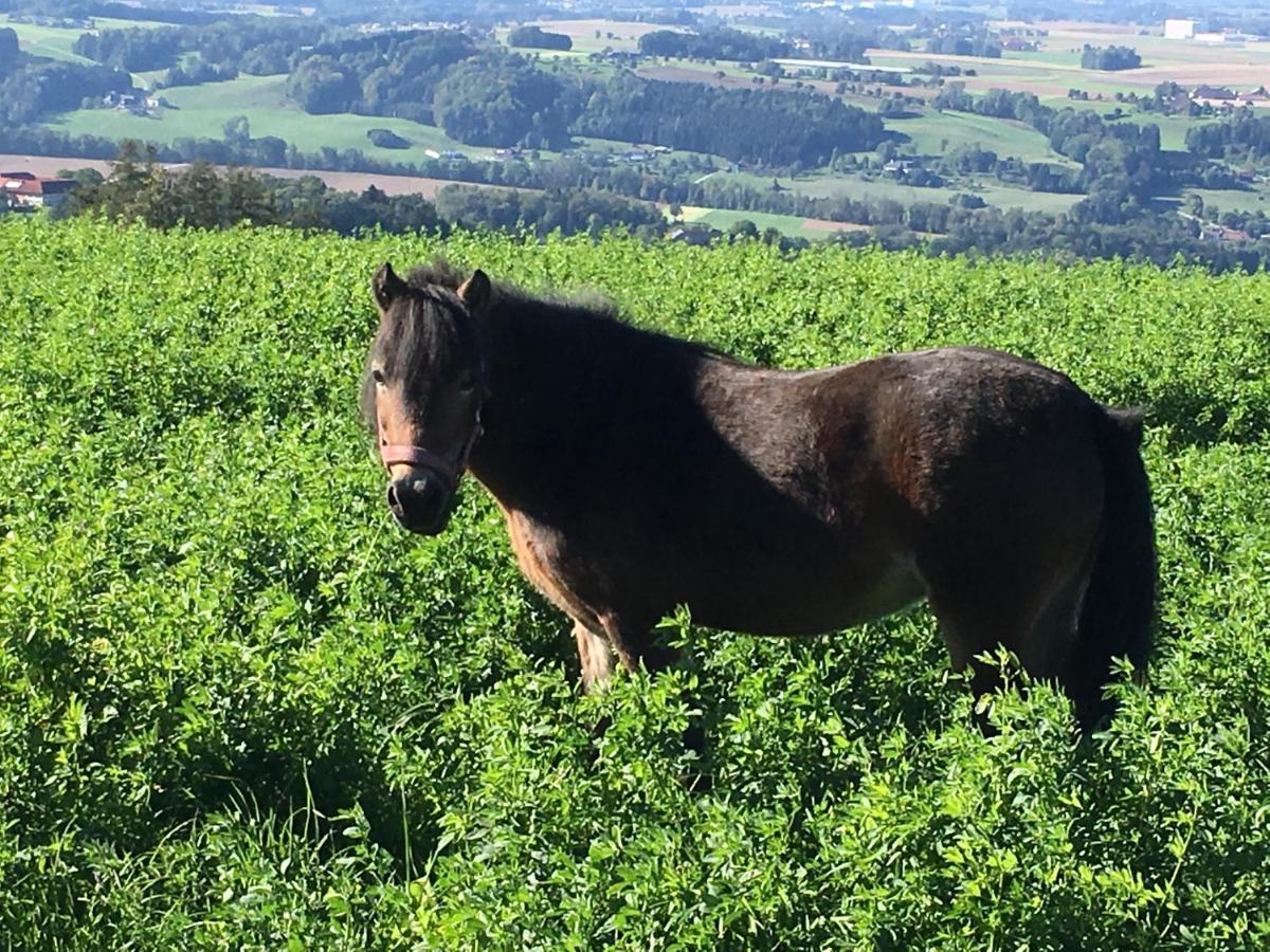 Hochhubergut Aschach an der Steyr Exterior foto