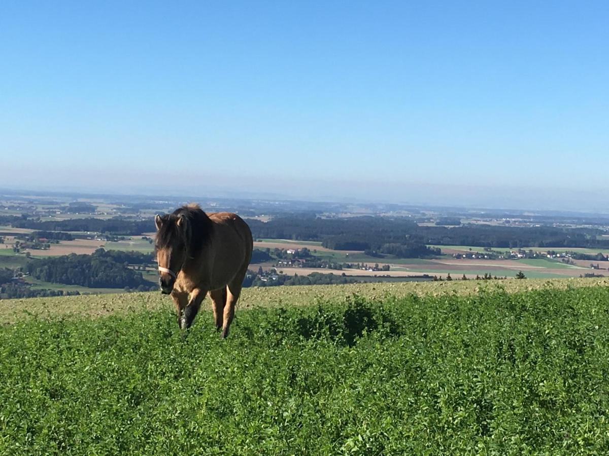 Hochhubergut Aschach an der Steyr Exterior foto