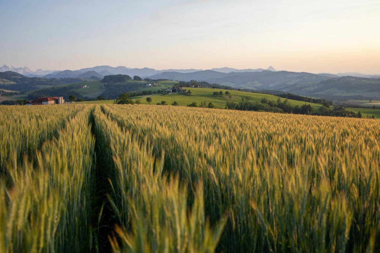Hochhubergut Aschach an der Steyr Exterior foto